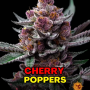 Семена конопли Cherry Poppers от Barney's Farm