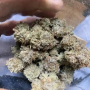 Семена конопли Cookie Casket от Barney's Farm