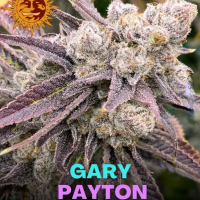 Gary Payton