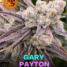 Gary Payton