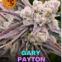 Семена конопли Gary Payton от Barney's Farm