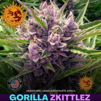 Gorilla Zkittlez