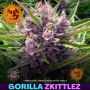 Семена конопли Gorilla Zkittlez от Barney's Farm