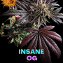 Семена конопли Insane OG от Barney's Farm