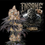 Семена конопли Insane OG от Barney's Farm