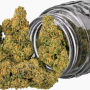 Семена конопли Laughing Buddha от Barney's Farm