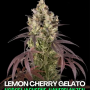 Семена конопли Lemon Cherry Gelato от Barney's Farm