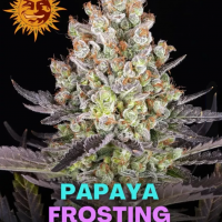 Papaya Frosting
