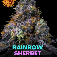 Rainbow Sherbet
