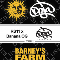 RS11 x Banana OG