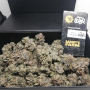 Семена конопли Tropicana Cherry от Barney's Farm