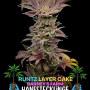 Семена конопли Runtz x Layer Cake от Barney's Farm