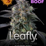 Семена конопли Super Boof от Barney's Farm