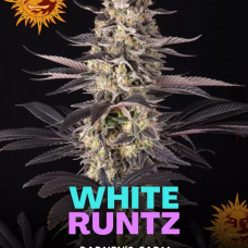 White Runtz