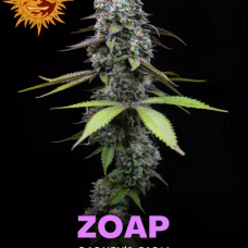 Zoap