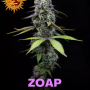 Семена конопли Zoap от Barney's Farm