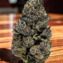 Семена конопли Frosted Zinn Auto x 3 Bears Auto от Barney's Farm
