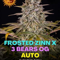 Frosted Zinn Auto x 3 Bears Auto