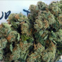 Сорт семян каннабиса Sour Diesel Feminised Silver