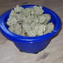 Семена конопли Z-Up Auto™ от Fast Buds