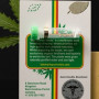Cannabis seed variety Auto Double Knockout