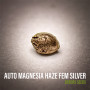 Сорт насіння канабісу Auto Magnesia Haze Feminised Silver