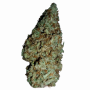 Сорт насіння канабісу Auto White Widow XL Feminised Silver