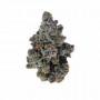 Семена конопли Blue Dream от Barney's Farm