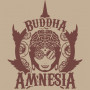 Cannabis seeds AMNESIA® feminized from Buddha Seeds