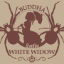 Насіння конопель AUTO WHITE WIDOW® від Buddha Seeds