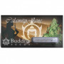 Насіння конопель CALAMITY JANE AUTO® від Buddha Seeds