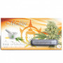 Cannabis seeds MEDIKIT CBD® feminized from Buddha Seeds