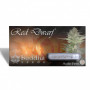 Cannabis seeds RED DWARF AUTO® from Buddha Seeds