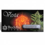 Cannabis seeds VESTA AUTO® from Buddha Seeds