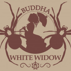 WHITE WIDOW® feminized