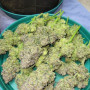 Семена конопли ZTRAWBERRIEZ Auto от Fast Buds