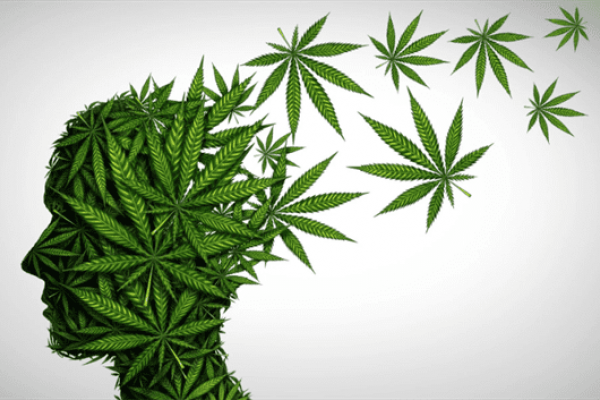 How marijuana affects the brain - harm and benefit