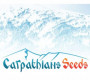 Carpathians-Seeds