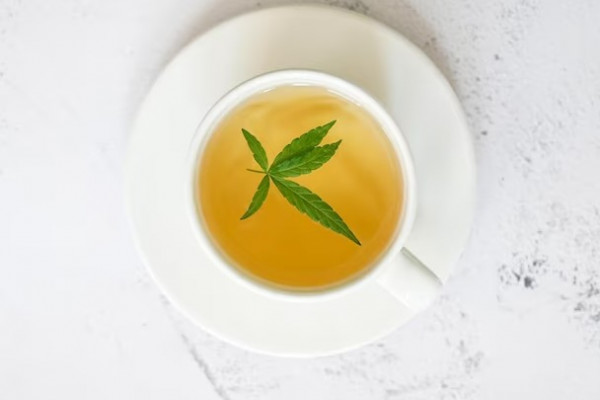 Tea with hemp - what's special about it?