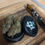 Семена конопли RAINBOW MELON ™ от Fast Buds
