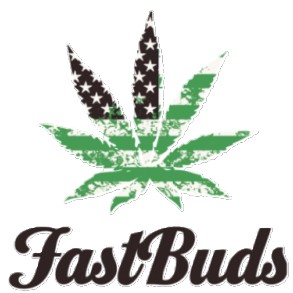 Новинки от Fast Buds