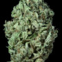 Сорт семян каннабиса Auto Sour Diesel Feminised Silver