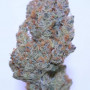 Семена конопли TROPICANA Cookies Auto от Fast Buds