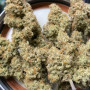 Насіння конопель FORBIDDEN RUNTZ Auto від Fast Buds
