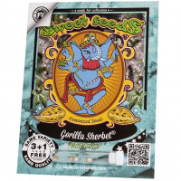 GORILLA SHERBET F1 FAST VERSION®