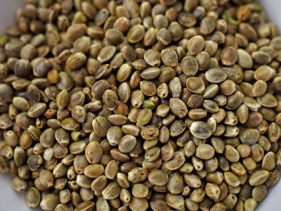 Семена конопли с АлиЭкспресс - подводные камни