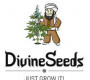 Divine Seeds