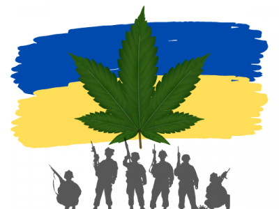 Legalization of medical cannabis in Ukraine for the treatment of PTSD in the military