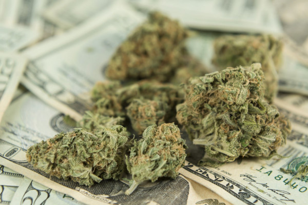 Как инвестировать в марихуану: руководство для инвестора