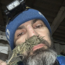 Шеврон коллекционный "Растаман"